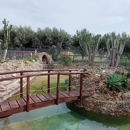 Villa Michelangelo Castellammare del Golfo Exterior photo
